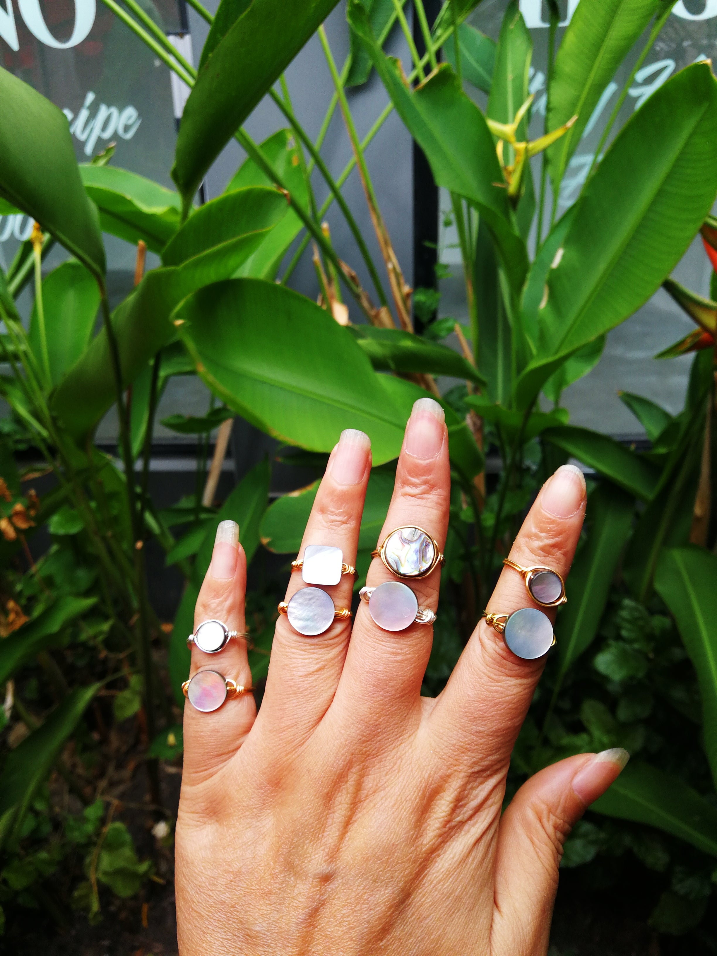 natural shell rings